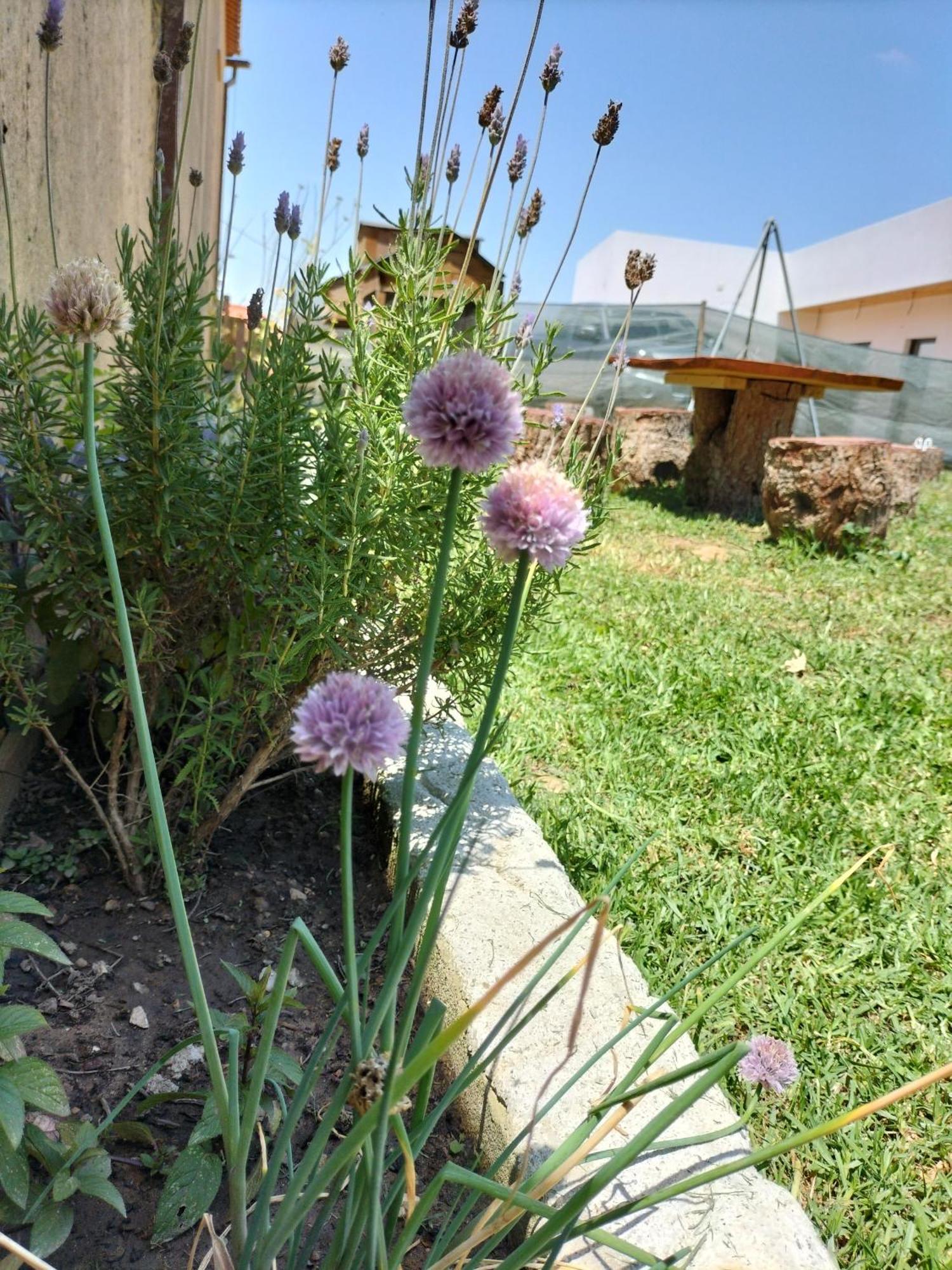 Dinocamp Guest House Lourinhã Exterior photo